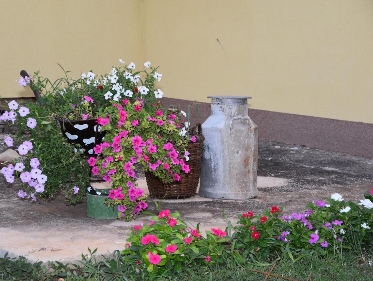 Villa Kutija Sveti Filip i Jakov Kültér fotó