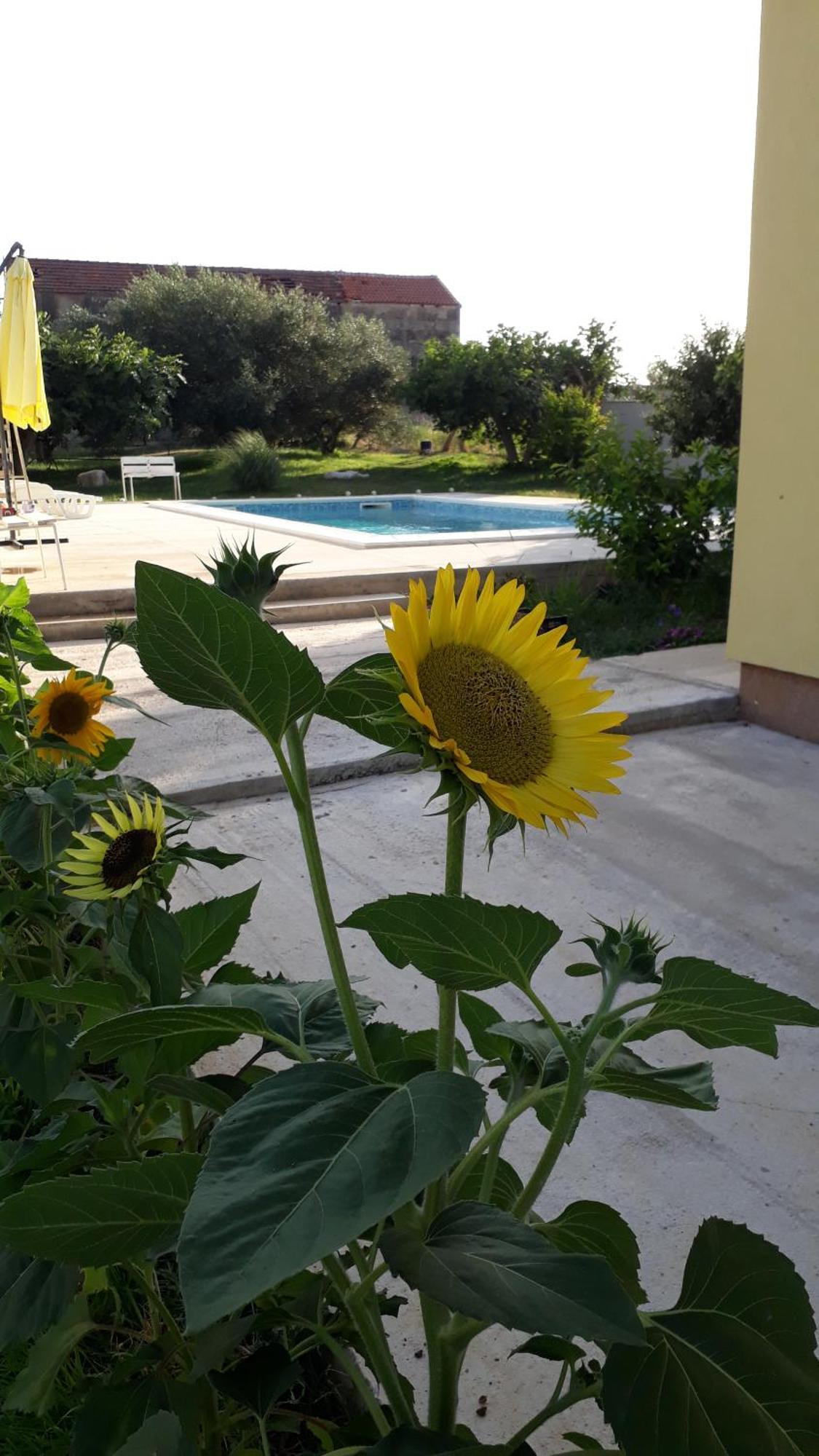 Villa Kutija Sveti Filip i Jakov Kültér fotó